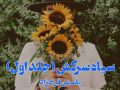 دانلود کتاب سیاه سرکش pdf از یاسمن فرحزاد با لینک مستقیم