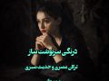 دانلود کتاب درنگی سرنوشت ساز pdf از ترلان عصری و حدیث صبری با لینک مستقیم