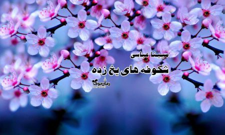 رمان شکوفه های یخ زده