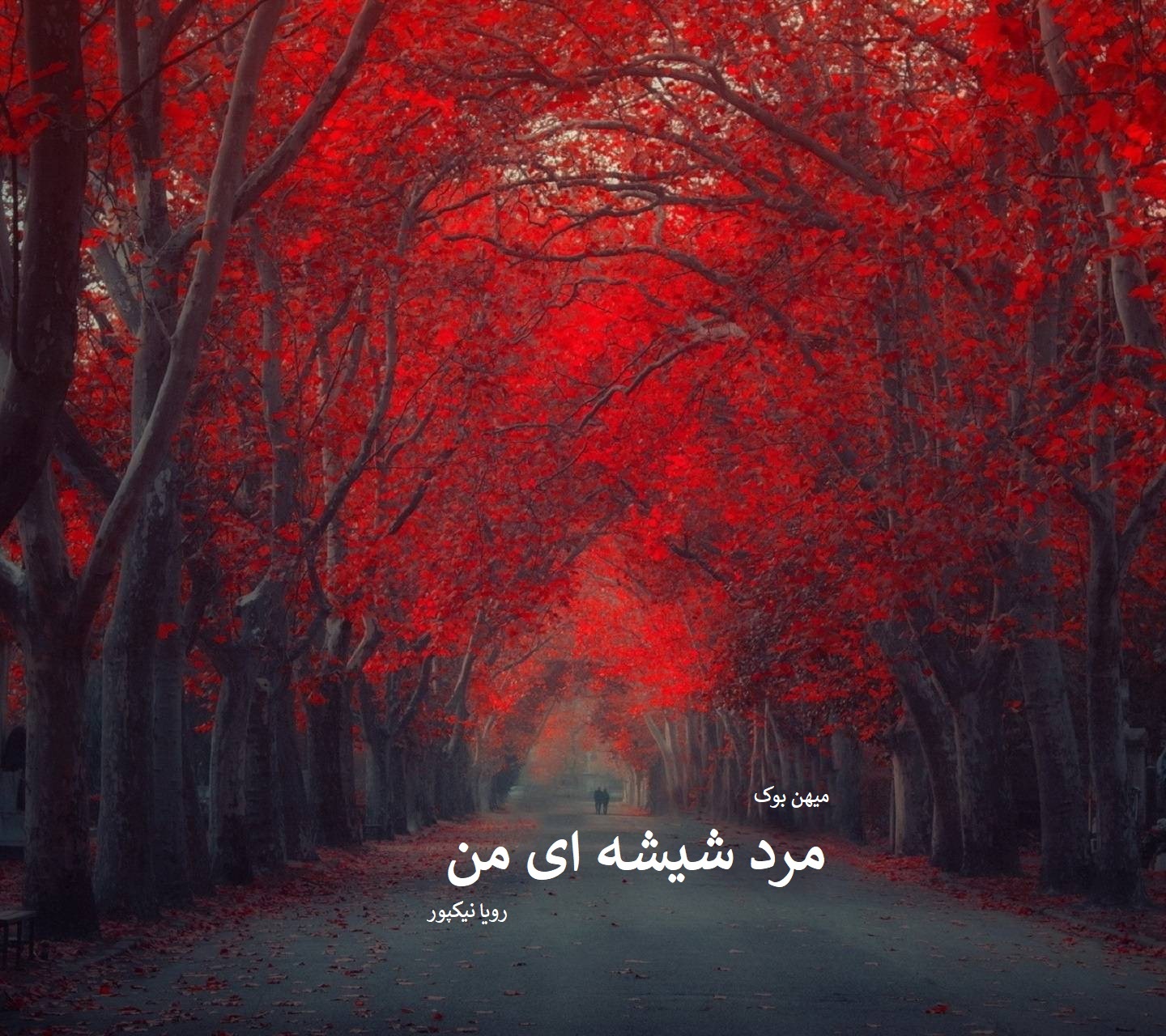 دانلود رمان مرد شیشه ای من pdf از رویا نیکپور با لینک مستقیم