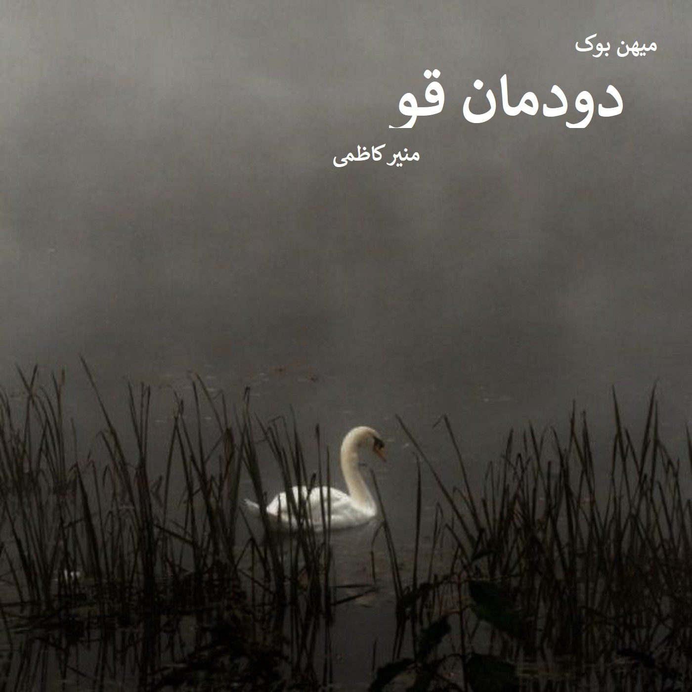 دانلود رمان دودمان قو pdf از منیر کاظمی با لینک مستقیم