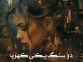 دانلود کتاب دو سنگ یکی کهربا pdf از فرشته تات شهدوست با لینک مستقیم
